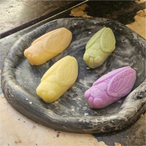 Absorbeur d'odeurs cigale